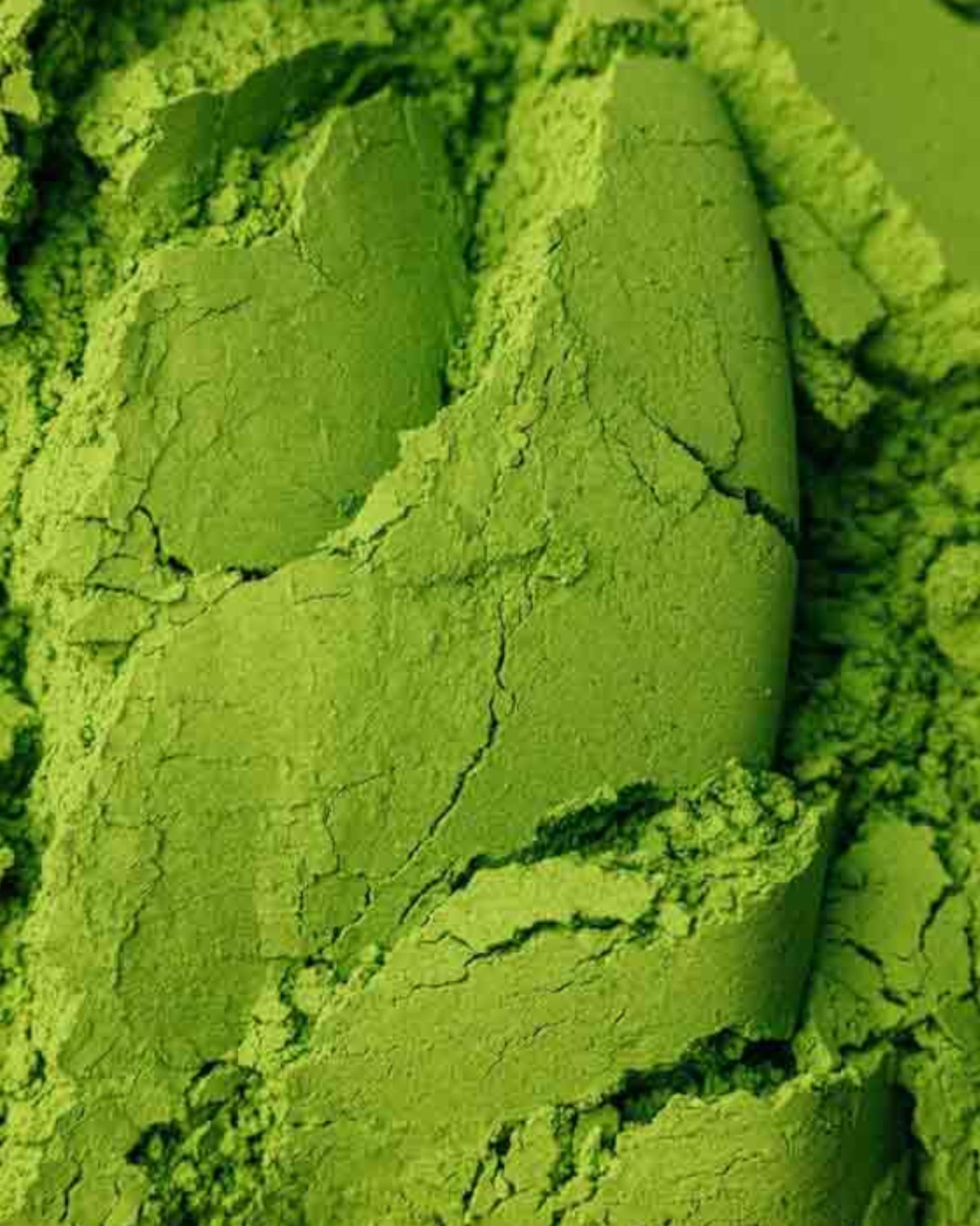 Matcha Cérémonial | Kawane - SOAR ORGANICS