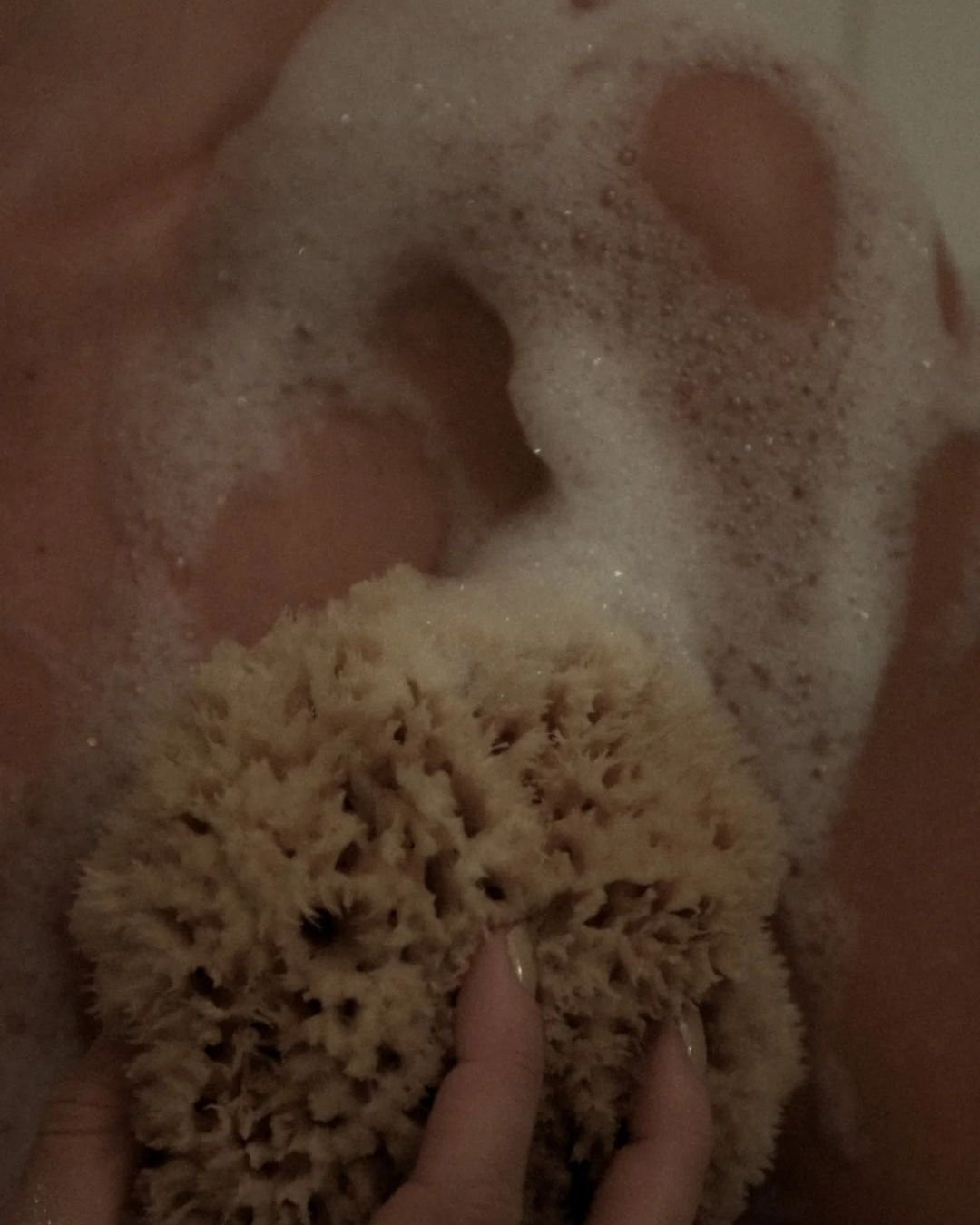 Éponge de Mer - WELL KEPT