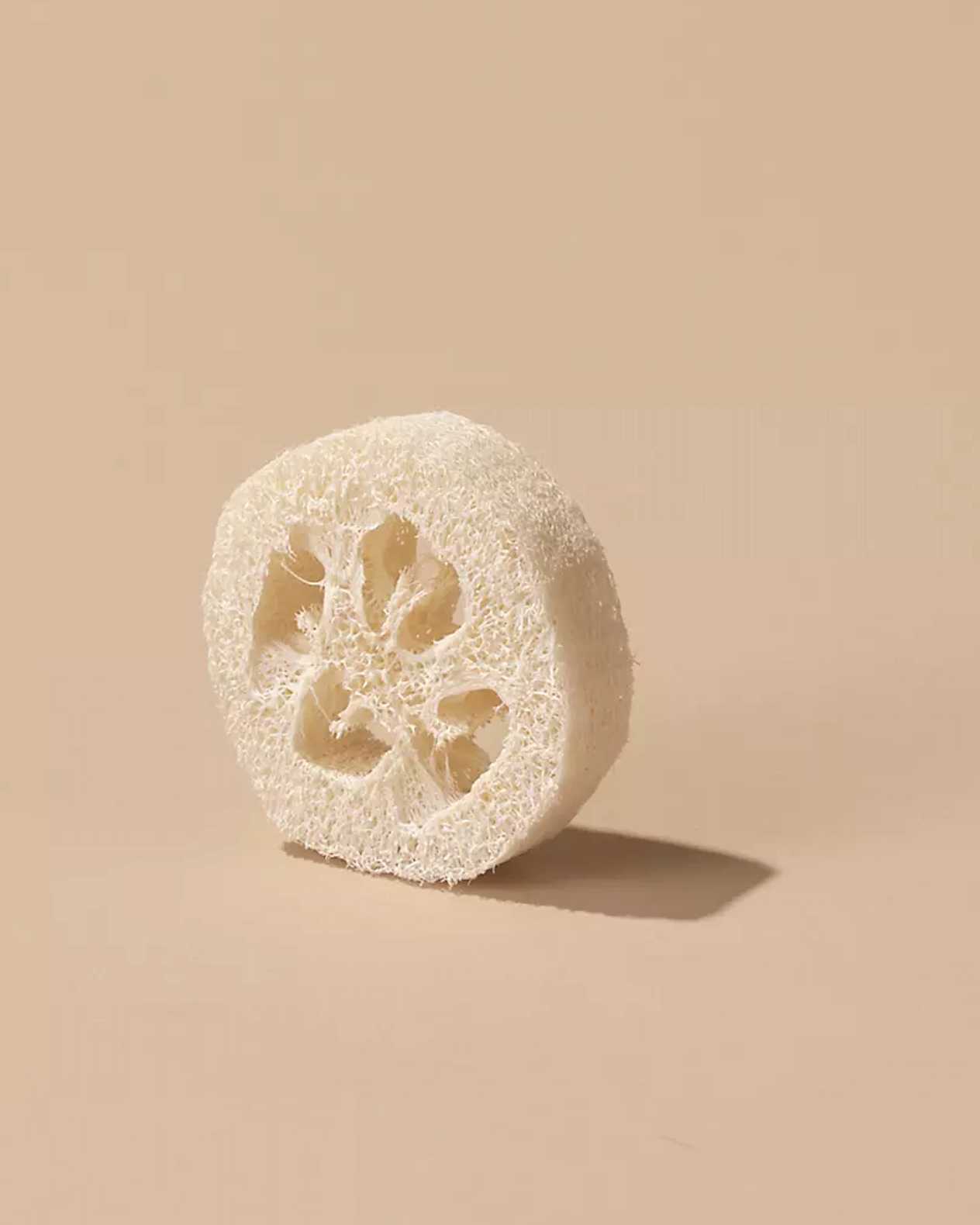 Gourde Loofah - WELL KEPT