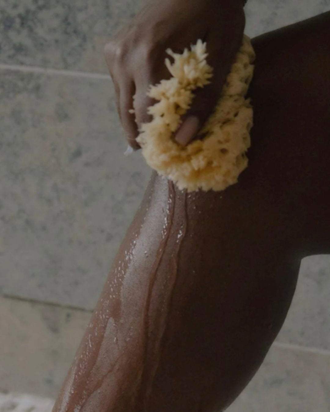 Éponge de Mer - WELL KEPT