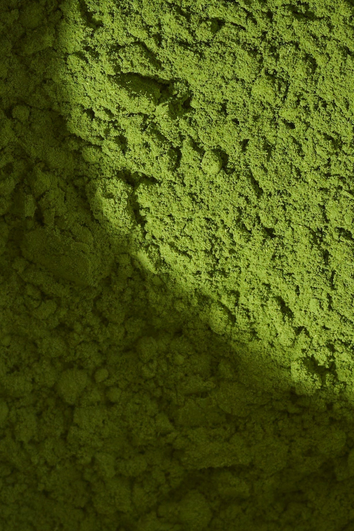 Le meilleur matcha