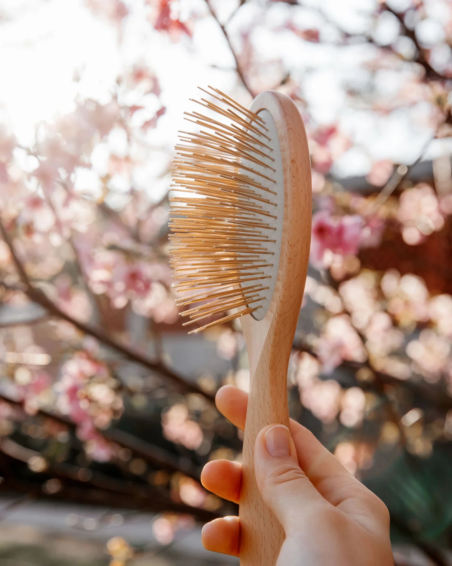 Brosse Gua Sha Cuir Chevelu Or 24k - SNOW FOX