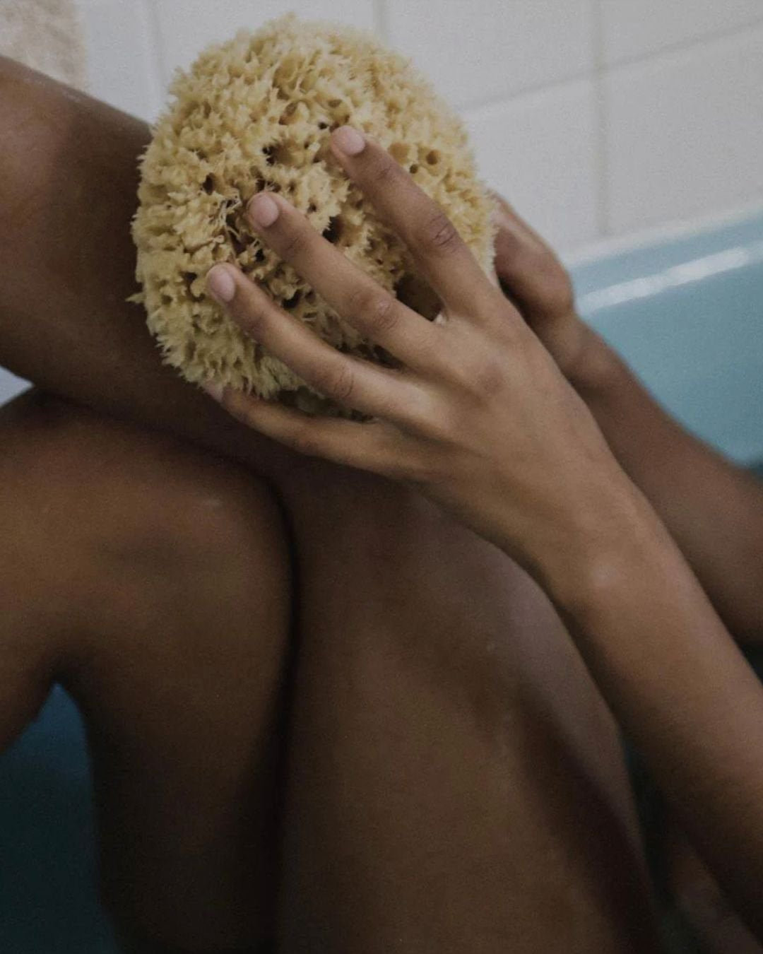 Sea Sponge - WELL KEPT